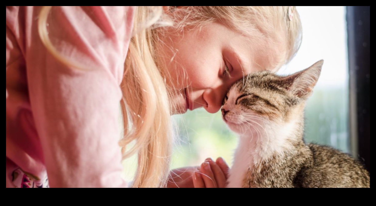 Kedi Bağlantısı: Kedinizle Türler Arası Bağları Anlamak