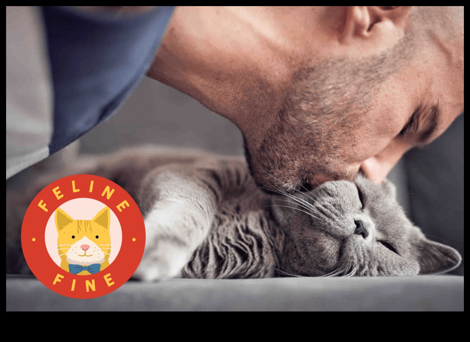 Kedi Bağlantısı: Kedinizle Türler Arası Bağları Anlamak