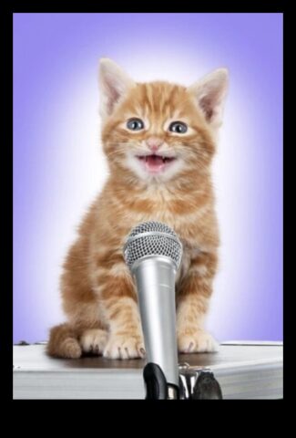 Kitty Karaoke Kediniz İçin Müzikli Anlar Yaratıyor